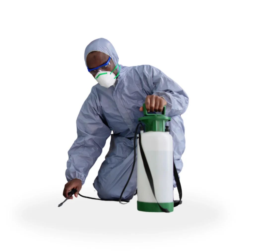 Termite control professionals