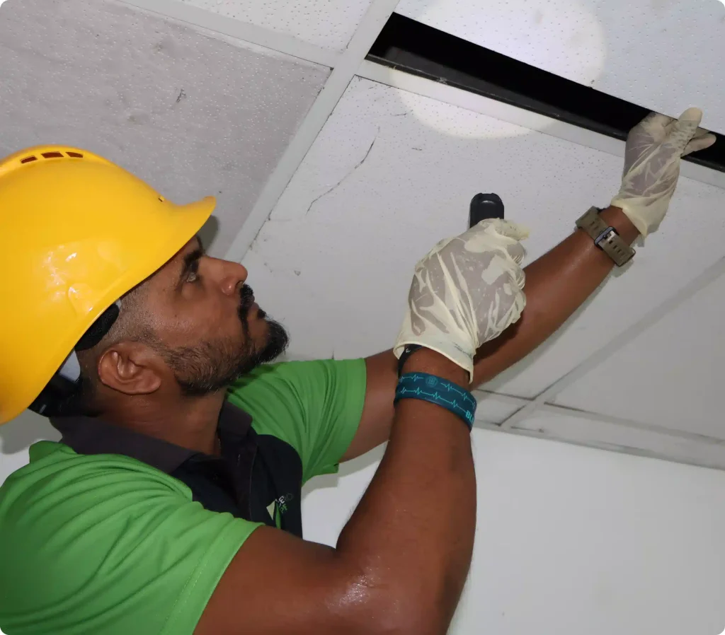 Residential Pest control service